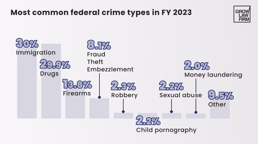 most common federal crime types 2023