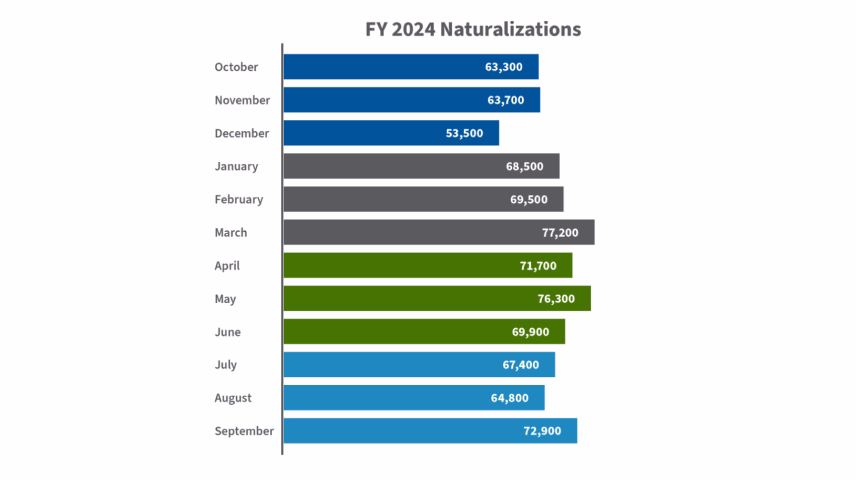 Naturalization and Citizenship Statistics