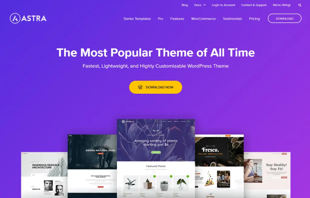 Astra Wordpress theme