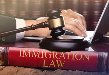 30 Best Immigration Law Firm Websites Designs for Inspiration