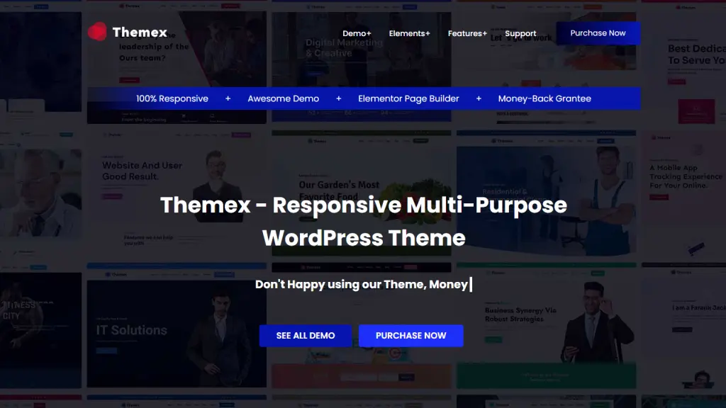Themex Wordpress theme