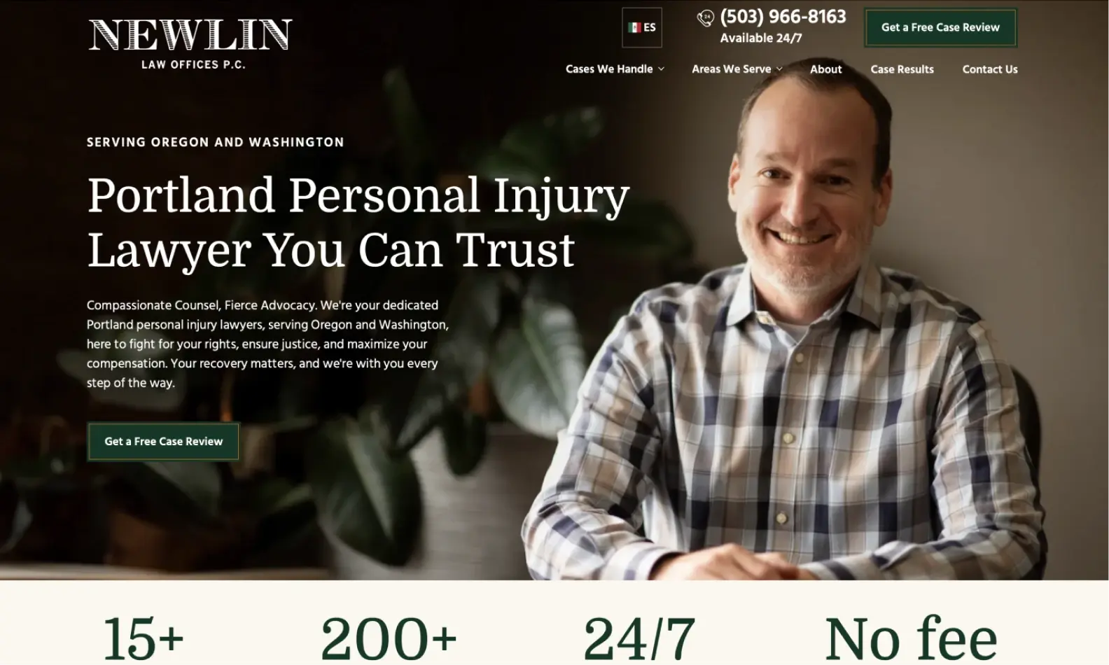 Website image after