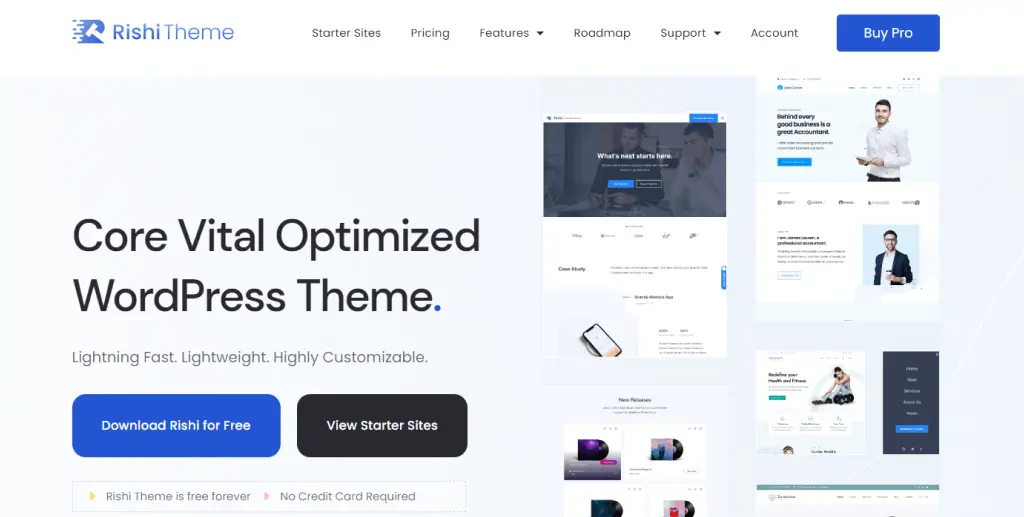 Rishi Theme Wordpress theme